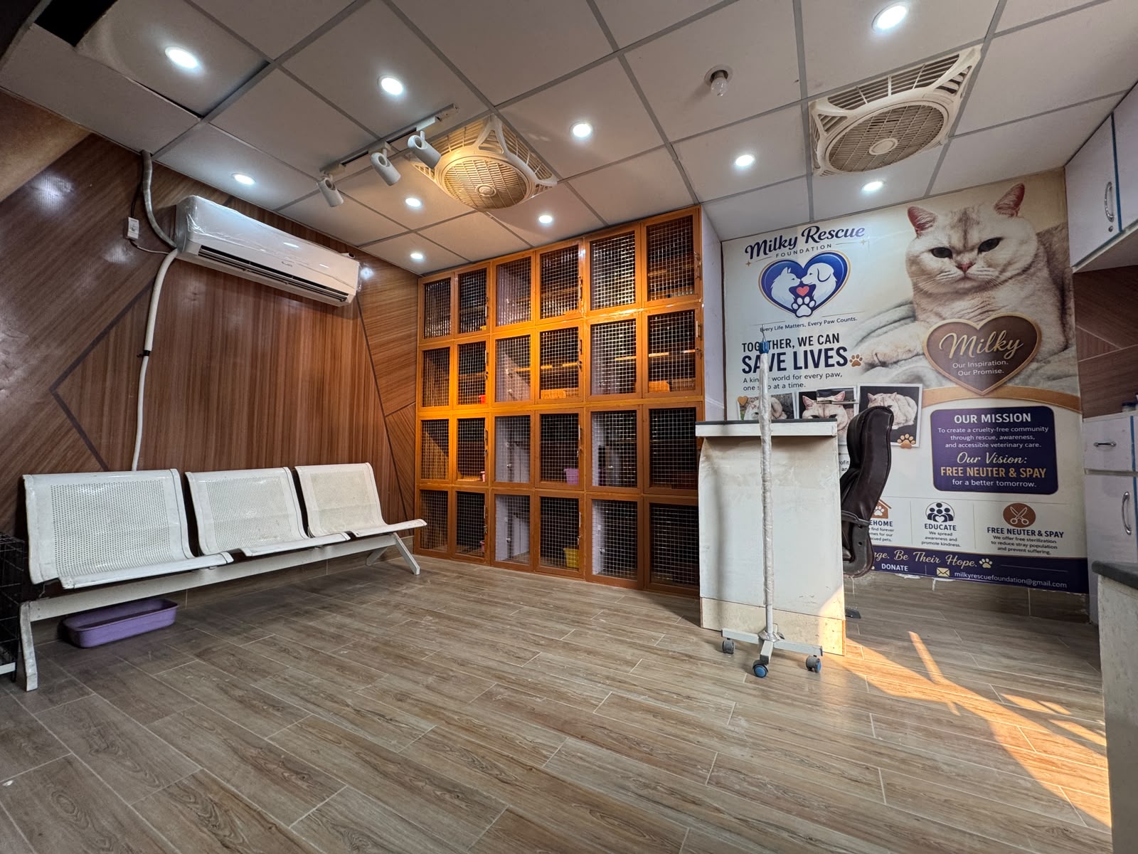 Recovery Ward